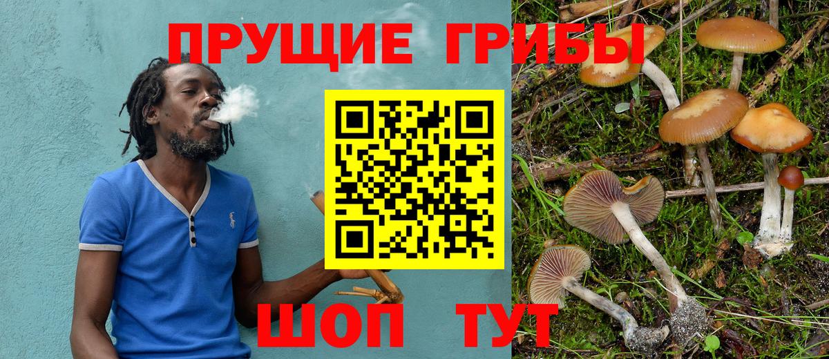 Галлюциногенные грибы Magic Shrooms Тавда