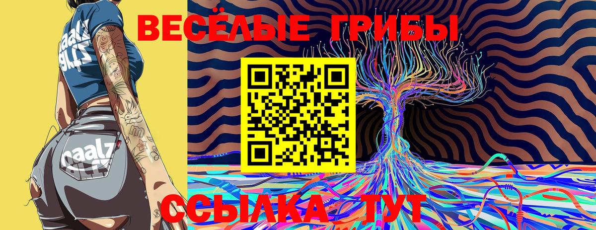 Тавда  Галлюциногенные грибы мицелий  Вход с VPN  Галлюциногенные грибы мицелий 